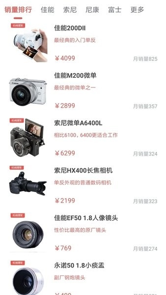 蚂蚁摄影