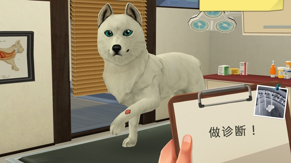 我的宠物医院（Animal Hospital）
