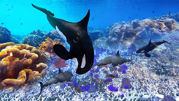 虎鲸模拟器（The Killer Whale）