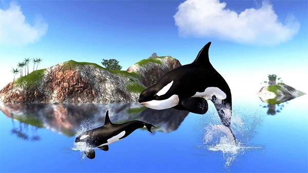虎鲸模拟器（The Killer Whale）