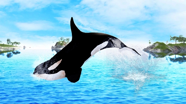 虎鲸模拟器（The Killer Whale）