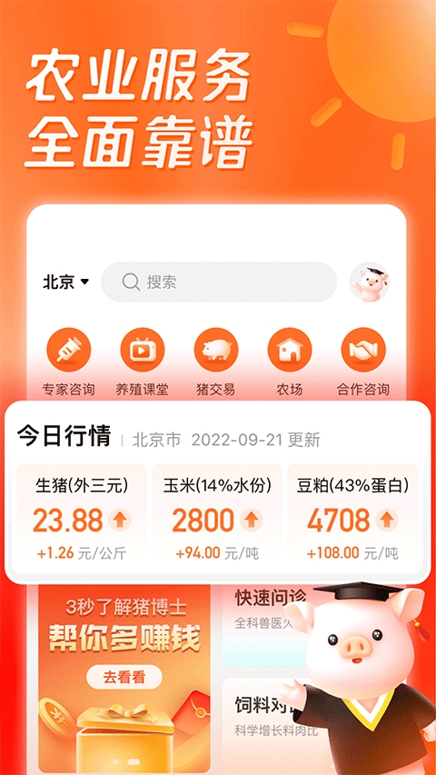 正大猪博士