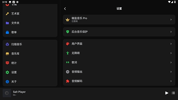 椒盐音乐车机版（Salt Player）