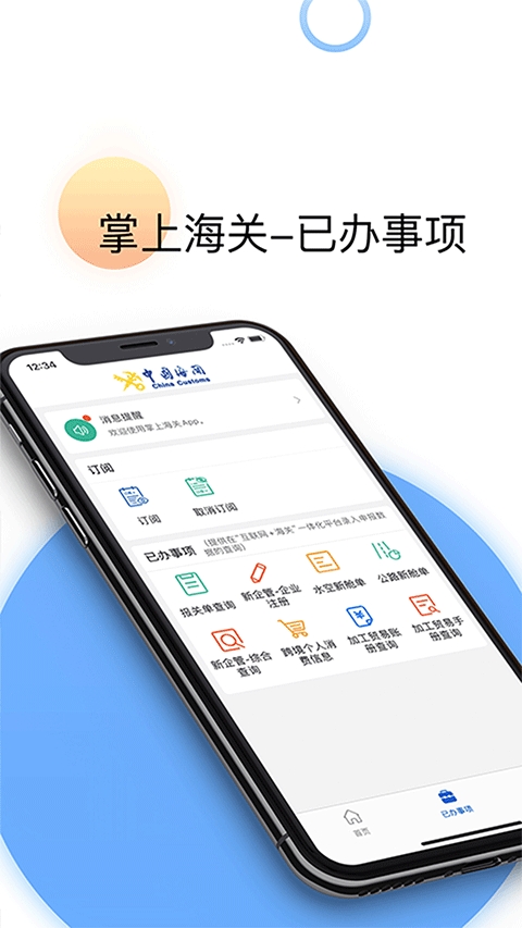 掌上海关