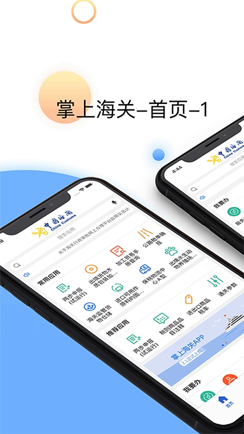 掌上海关