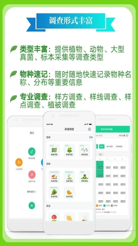 北极花生物调查