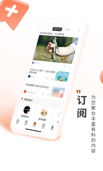 深圳Plus