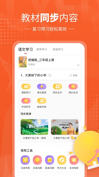 鲤鱼辅导