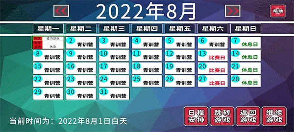 职业足球生涯
