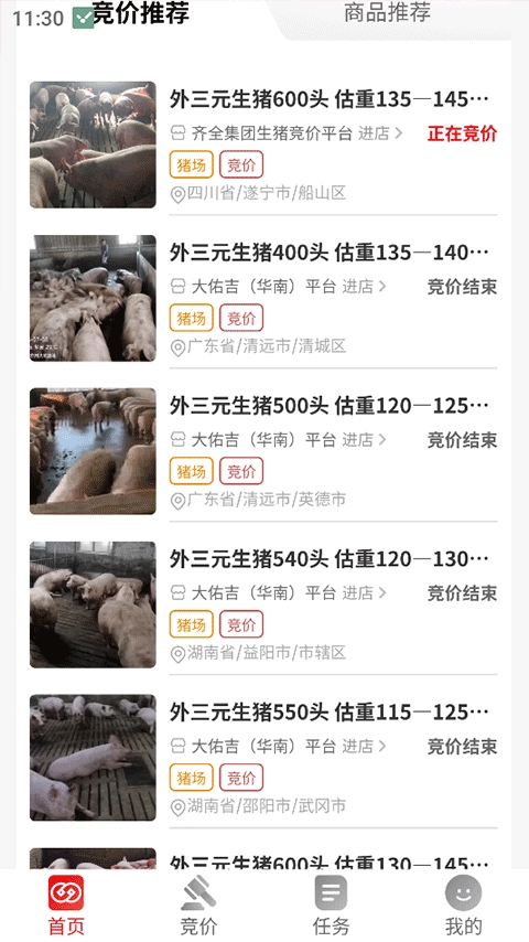 国家生猪市场