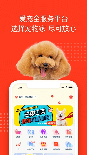 宠物家