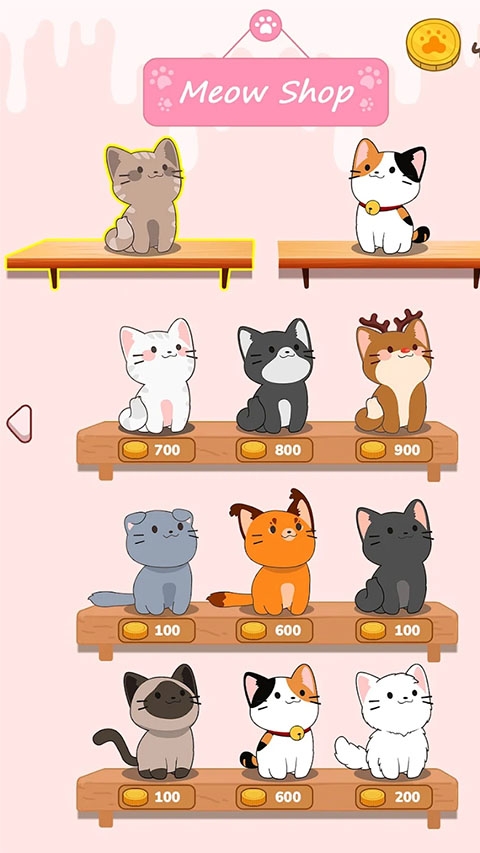 猫咪二重奏(duet cats)