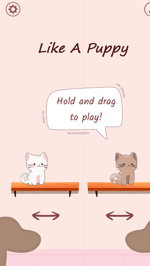 猫咪二重奏(duet cats)