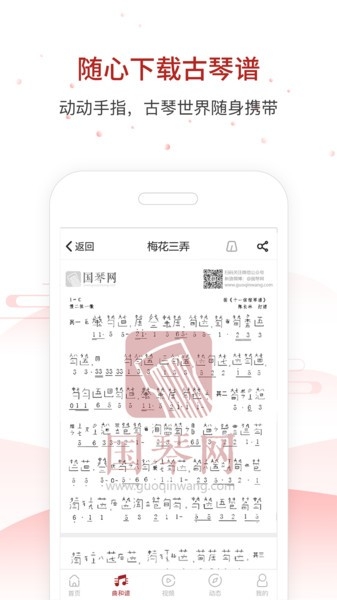 国琴网