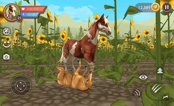 3D动物模拟器(WildCraft)
