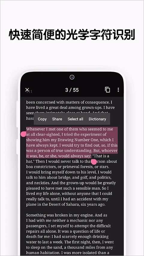 vFlat Scan 
