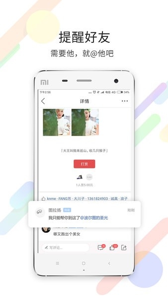 茶竹永川网