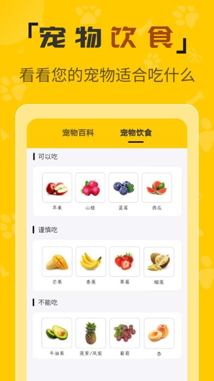 人猫翻译机