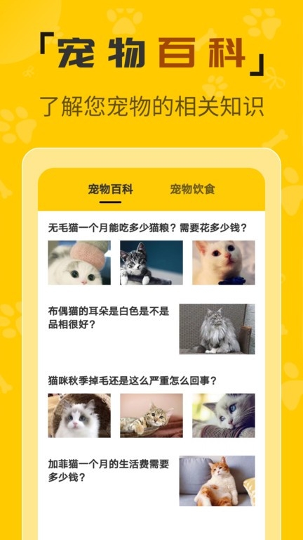 人猫翻译机