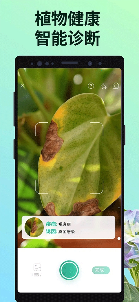 PictureThis - 植物识别