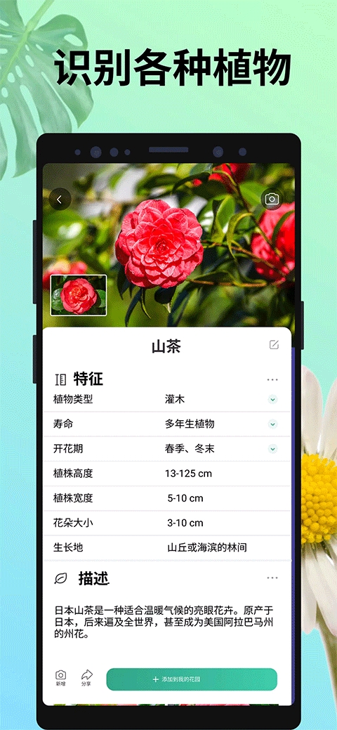 PictureThis - 植物识别