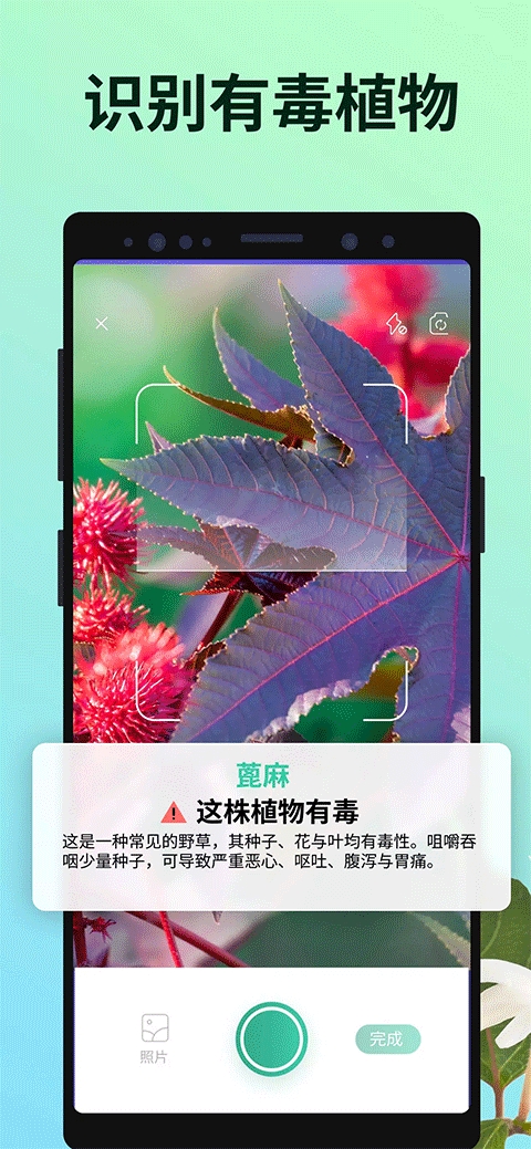 PictureThis - 植物识别