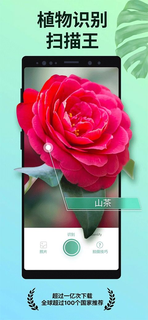 PictureThis - 植物识别