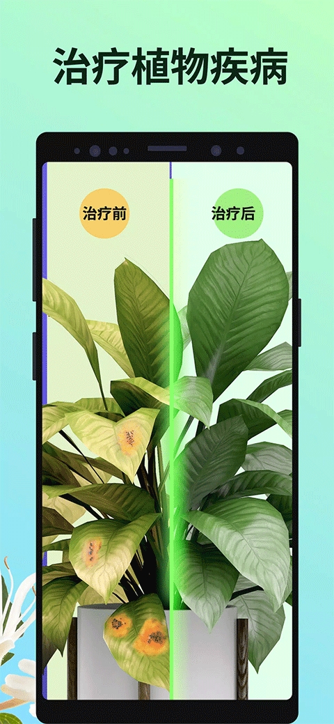 PictureThis - 植物识别