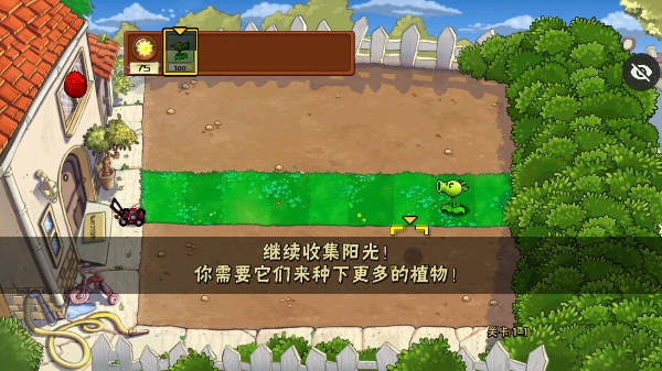 植物大战僵尸随机植物版
