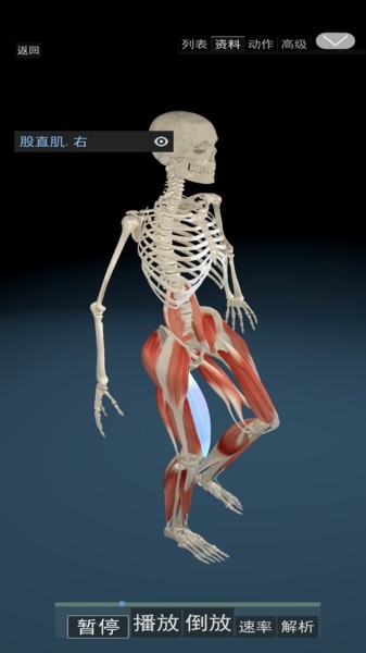 3d运动解剖
