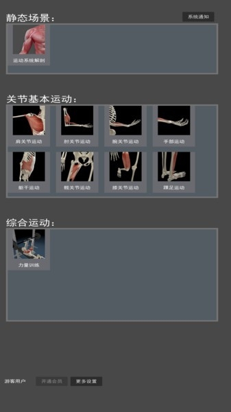 3d运动解剖
