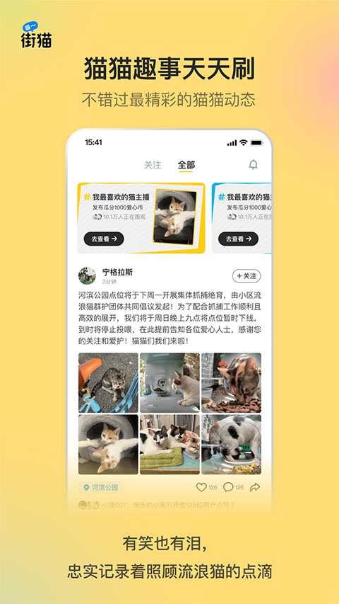街猫
