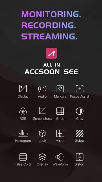 Accsoon SEE