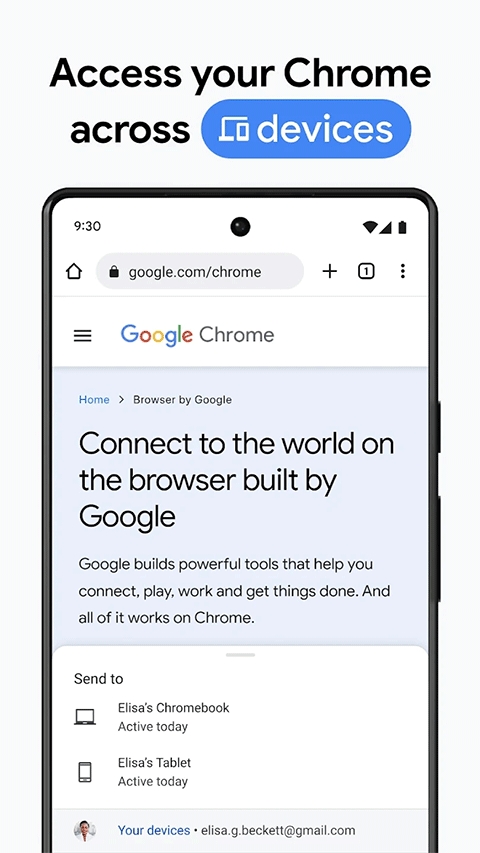 谷歌浏览器测试版(Chrome Beta)