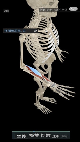 3d运动解剖