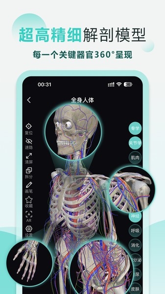 掌上3d解剖