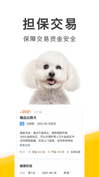 买只宠物