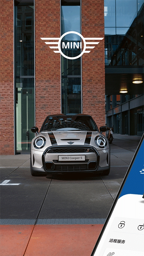 MINI