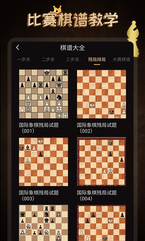 国际象棋大师