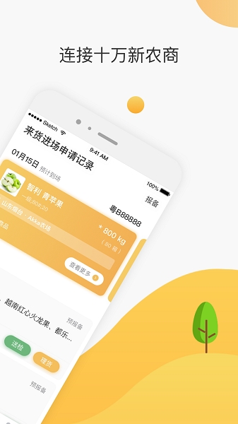 大白菜