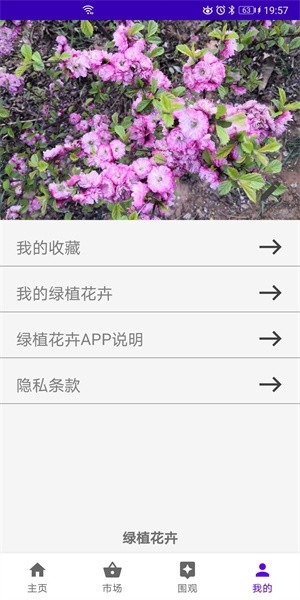 绿植花卉