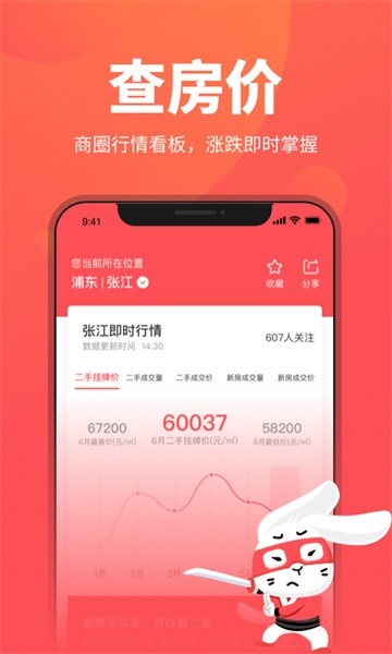 兔博士
