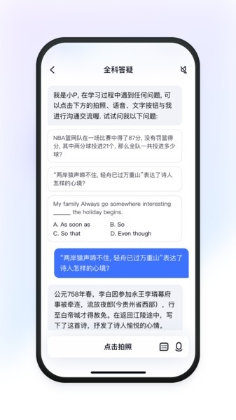 有道小P