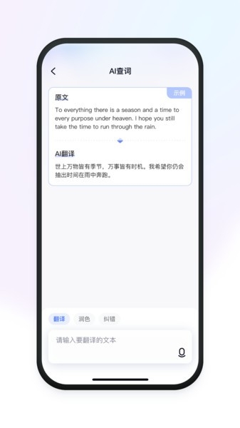 有道小P