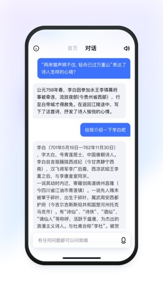 有道小P