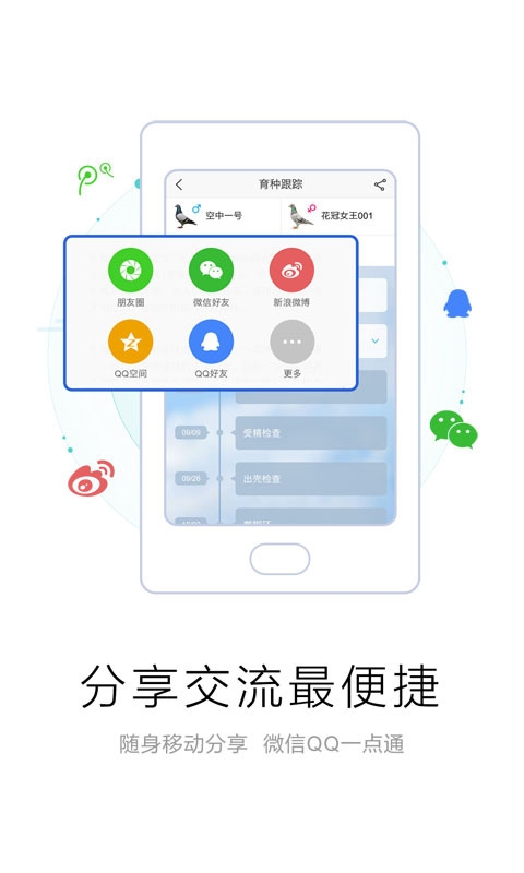 爱鸽者