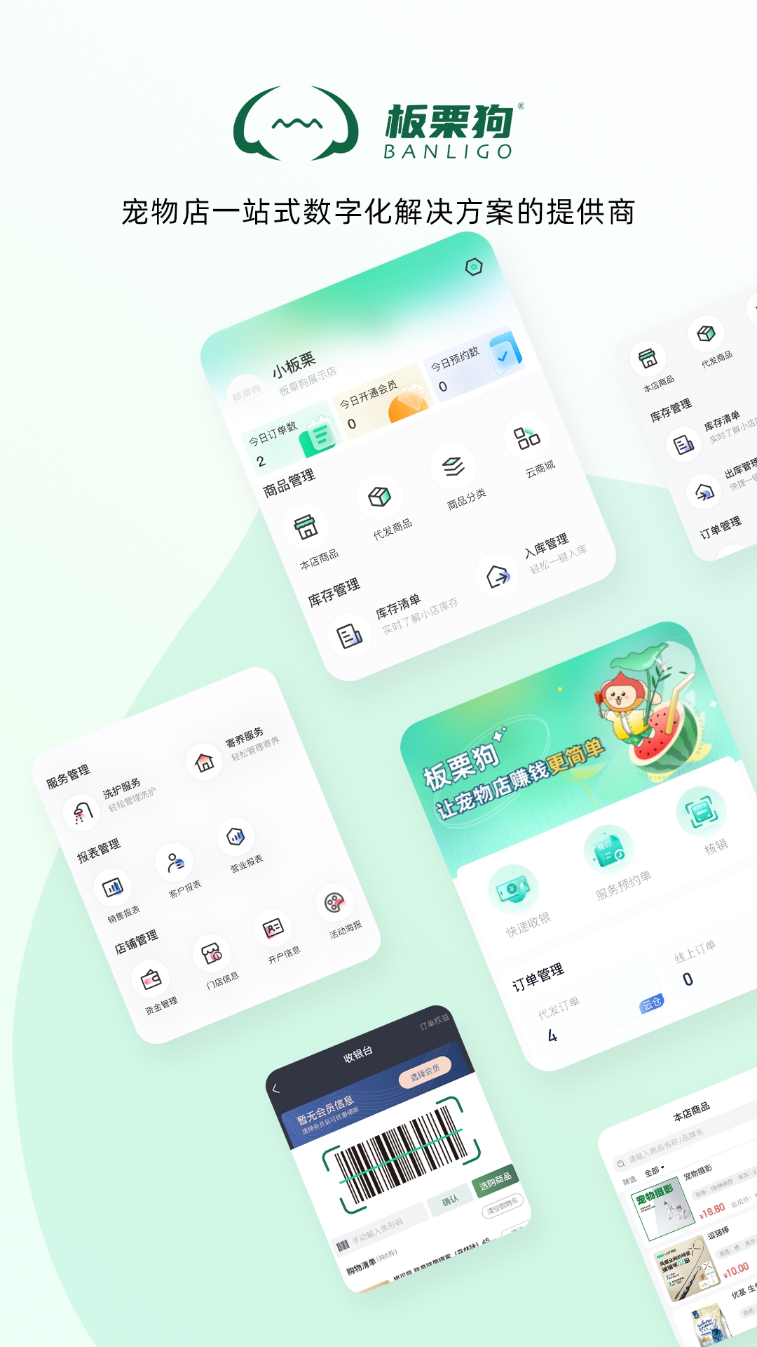板栗狗