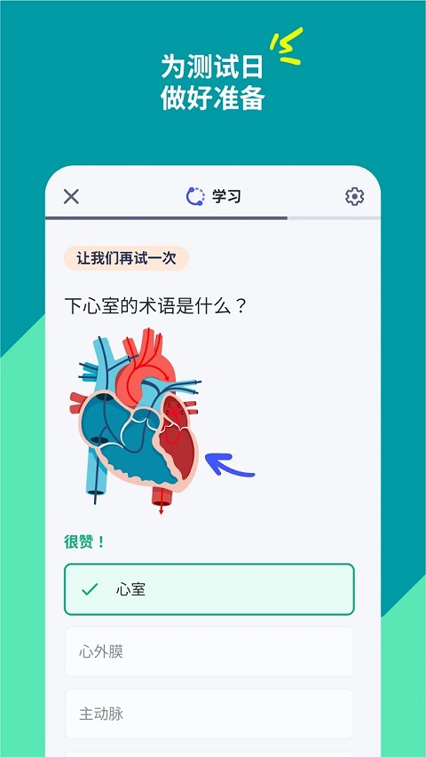 quizlet英语
