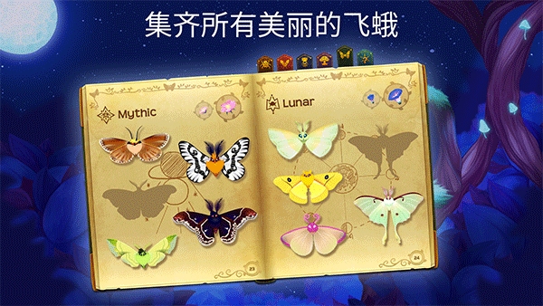 彩翼之星夜(Starlight)