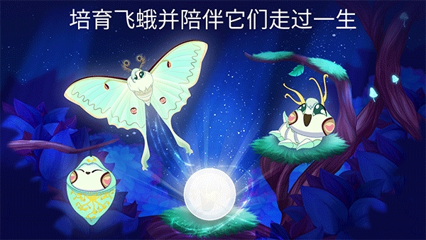 彩翼之星夜(Starlight)